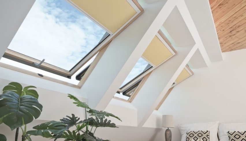 Glass Roof & Skylights