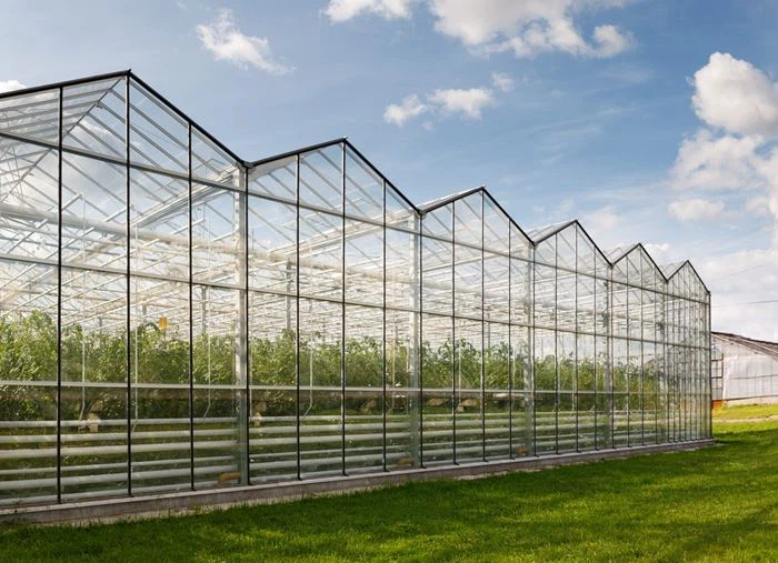 Greenhouse Glass